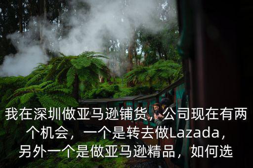 我在深圳做亞馬遜鋪貨，公司現在有兩個機會，一個是轉去做Lazada，另外一個是做亞馬遜精品，如何選