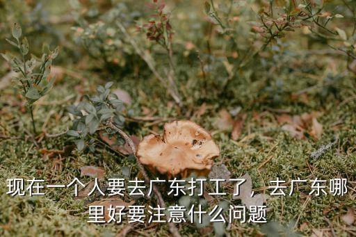 廣東本地人都去哪里了,深圳本地人都去哪了