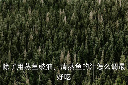 汕尾蒸魚的汁怎么調,清蒸魚的汁怎么調最好吃