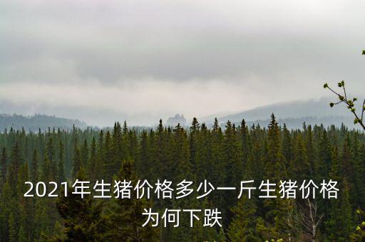 麗水生豬價格一斤多少,生豬價格為何下跌