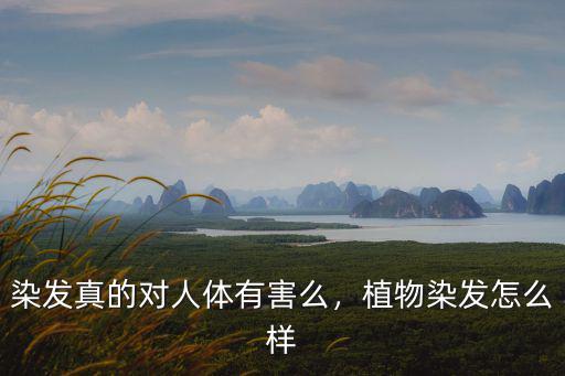廣州李時珍植物染發怎么樣,植物染發怎么樣