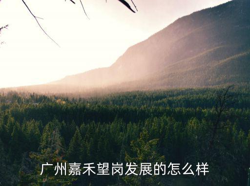廣州嘉禾望崗生意怎么樣,廣州嘉禾望崗發展的怎么樣