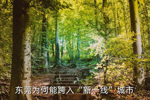 東莞為何能跨入“新一線”城市