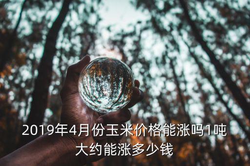 山東濰坊昌樂玉米價格是多少錢,玉米價格多少錢一斤