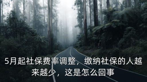5月起社保費率調整，繳納社保的人越來越少，這是怎么回事