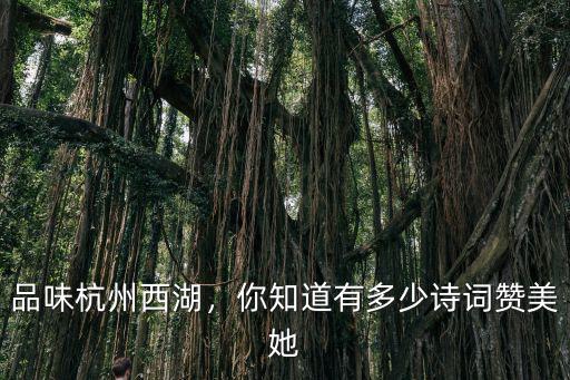 多少詩詞有杭州,你知道有多少詩詞贊美她
