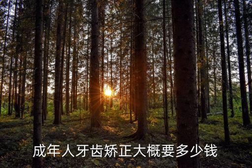 紹興矯正牙齒多少錢,成年人牙齒矯正需要多少錢