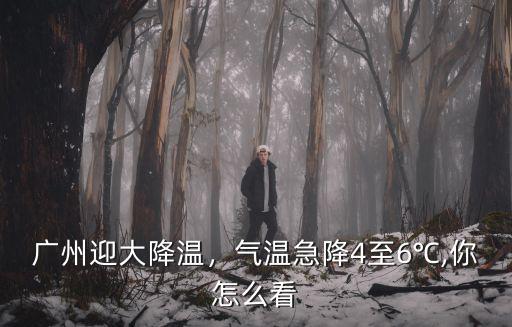 廣州最高氣溫降到多少,氣溫急降4至6℃