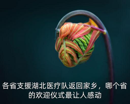 深圳支援湖北醫療隊一共多少人,各省支援湖北醫療隊返回家鄉