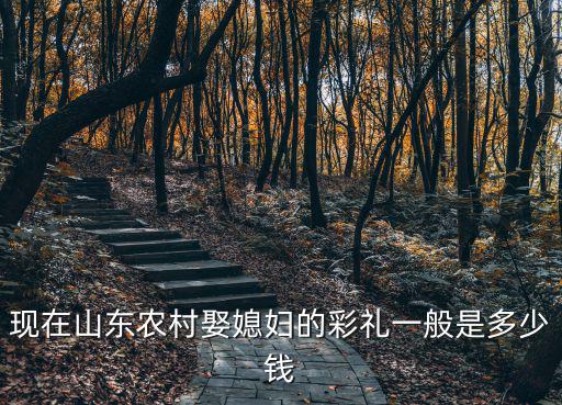山東沂水結婚彩禮是多少錢,在山東淄博農村