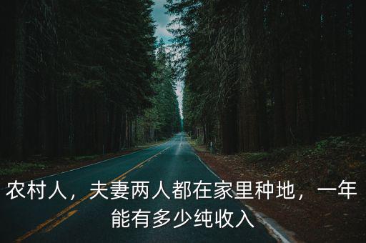 在山東賣雞架一年能掙多少錢,一年可以賺多少錢