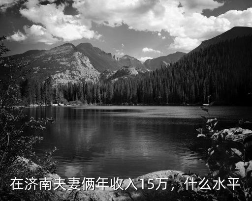 濟南年收入20萬占多少,在濟南夫妻倆年收入15萬
