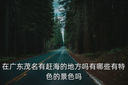 廣東哪里有淺灘可以抓海鮮,惠州哪里可以趕海撿海鮮