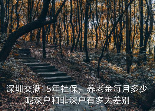 2020年深圳社保每月交多少,養老金每月多少呢