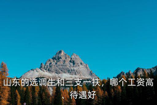 山東的選調生和三支一扶，哪個工資高、待遇好