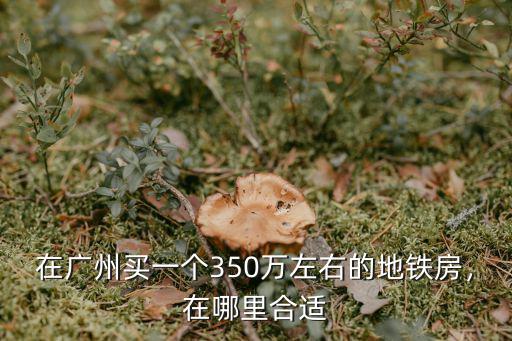 在廣州買一個(gè)350萬(wàn)左右的地鐵房，在哪里合適