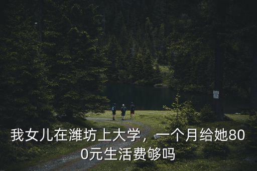 我女兒在濰坊上大學，一個月給她800元生活費夠嗎
