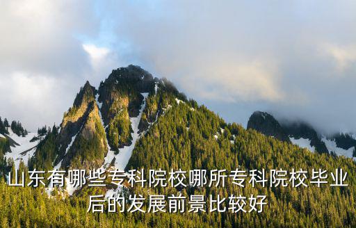 山東有哪些專科院校哪所專科院校畢業后的發展前景比較好