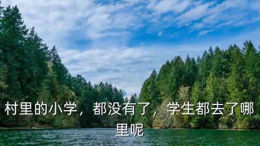 深圳小學(xué)學(xué)生分流去哪里,剛到深圳務(wù)工