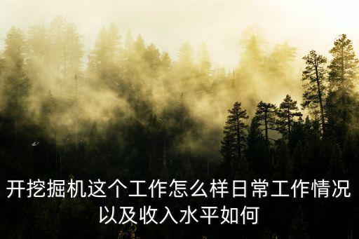 浙江開挖掘機工資多少,開挖掘機這個工作怎么樣