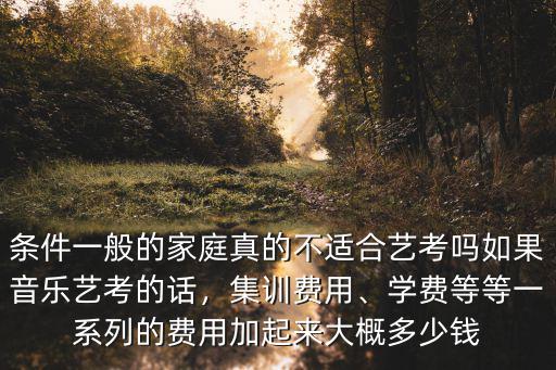 條件一般的家庭真的不適合藝考嗎如果音樂藝考的話，集訓(xùn)費(fèi)用、學(xué)費(fèi)等等一系列的費(fèi)用加起來大概多少錢