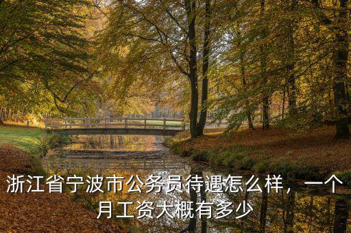 寧波講解員工資多少,寧波工資平均到個人有多少錢