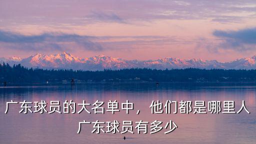 王銳是哪里人廣東人,劉詩雯和樊振東分別是哪里人