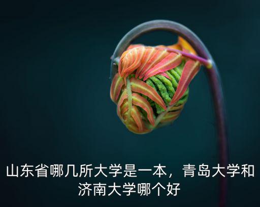 山東省一本是多少位次,山東省哪幾所大學是一本