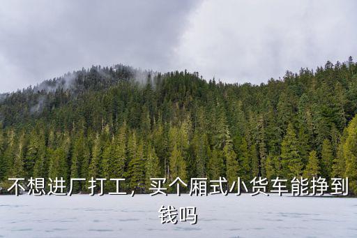 不想進廠打工，買個廂式小貨車能掙到錢嗎