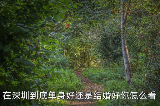 單身嘉年華在深圳哪里,在深圳到底單身好還是結(jié)婚好