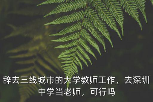 辭去三線城市的大學教師工作，去深圳中學當老師，可行嗎