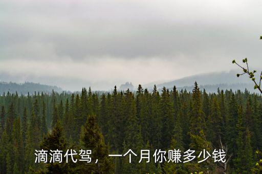滴滴代駕，一個(gè)月你賺多少錢(qián)