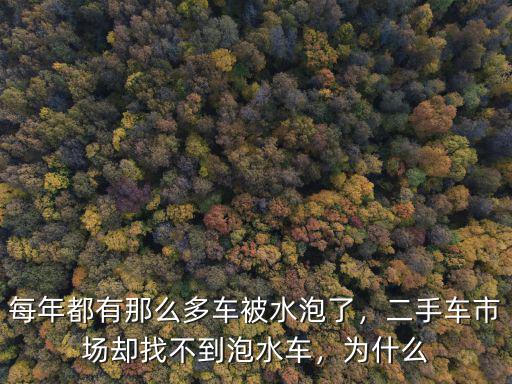 每年都有那么多車被水泡了，二手車市場卻找不到泡水車，為什么
