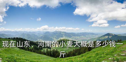 山東平原縣小麥價格是多少錢啊,河南的小麥大概是多少錢一斤
