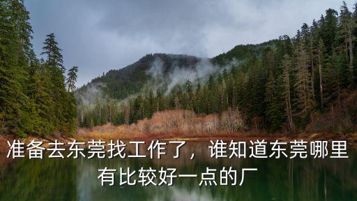 準備去東莞找工作了，誰知道東莞哪里有比較好一點的廠