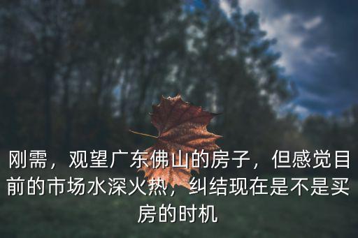剛需，觀望廣東佛山的房子，但感覺目前的市場水深火熱，糾結現在是不是買房的時機