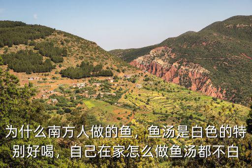 為什么南方人做的魚，魚湯是白色的特別好喝，自己在家怎么做魚湯都不白
