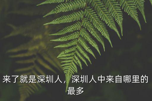 深圳李順明哪里人,深圳人都去哪里了