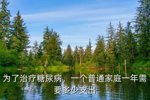 為了治療糖尿病，一個(gè)普通家庭一年需要多少支出