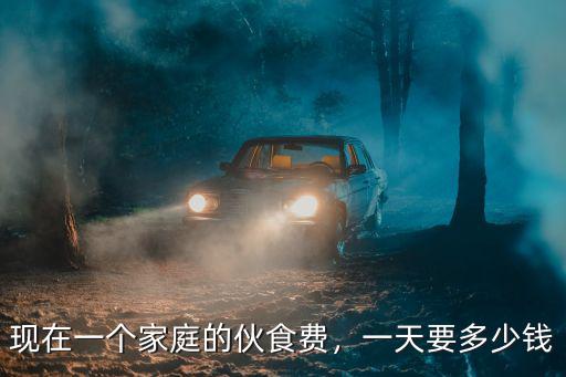 現在一個家庭的伙食費，一天要多少錢