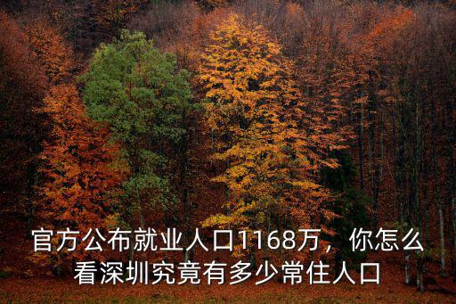 深圳市2019年流動人口有多少人口,深圳究竟有多少常住人口