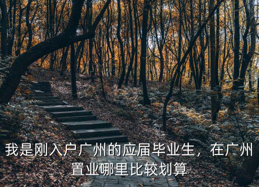 我是剛入戶廣州的應屆畢業生，在廣州置業哪里比較劃算