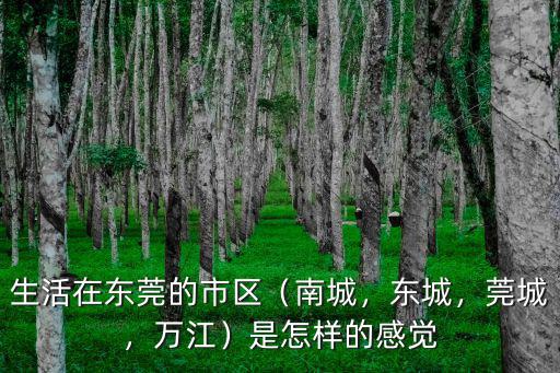 生活在東莞的市區（南城，東城，莞城，萬江）是怎樣的感覺