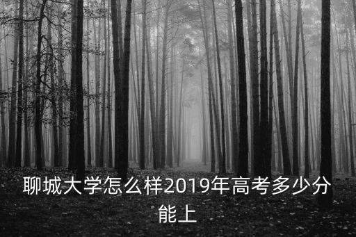 聊城大學怎么樣2019年高考多少分能上