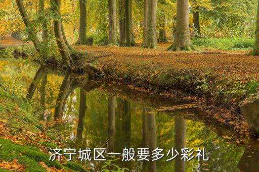 山東濟寧曲阜的彩禮是多少,山東濟寧魚臺地區(qū)的彩禮高嗎