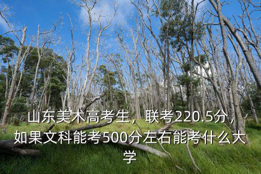 山東美術高考生，聯考220.5分，如果文科能考500分左右能考什么大學