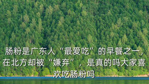 腸粉是廣東人“最愛吃”的早餐之一，在北方卻被“嫌棄”，是真的嗎大家喜歡吃腸粉嗎