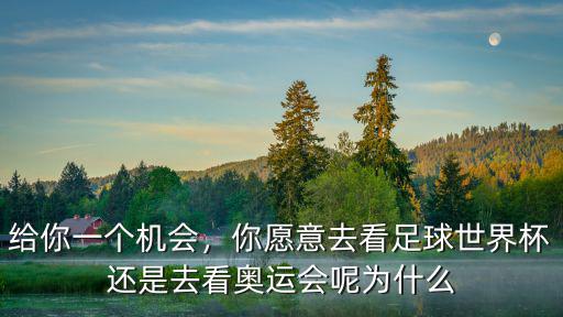 給你一個機會，你愿意去看足球世界杯還是去看奧運會呢為什么
