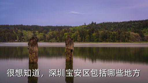深圳寶安是在深圳的哪里,深圳寶安區包括哪些地方