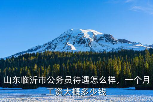 山東警察一個(gè)月工資多少錢(qián),山東臨沂市公務(wù)員待遇怎么樣